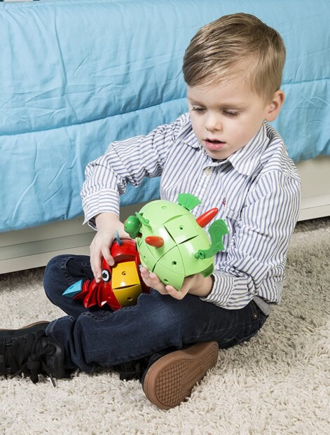 Animale da costruire Kor Tazoo Paco